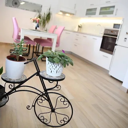 Andela 아파트 보디체