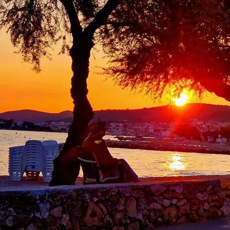 Andela Vodice
